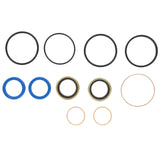 Power steering Ram Seal kit  3095